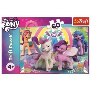 Puzzle Krásní poníci/My Little Pony 33x22cm 60 dílků v krabici 21x14x4cm
