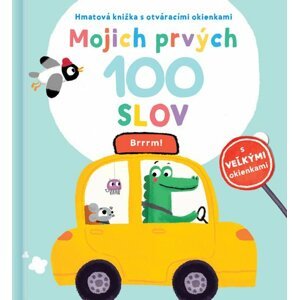 Mojich prvých 100 slov Brrrm!