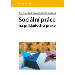 Sociální práce na příkladech z praxe - Zuzana Krejčí; Martina Černá; Olga Klepáčková