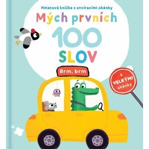 Mých prvních 100 slov Brm, brm