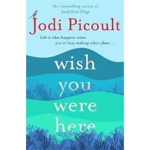 Wish You Were Here - Jodi Picoult