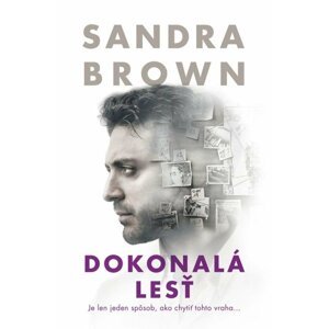 Dokonalá lesť - Sandra Brown