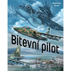 Bitevní pilot - Rostislav Stroin