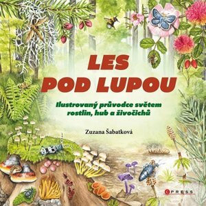 Les pod lupou - Ilustrovaný průvodce světem rostlin, hub a živočichů - Zuzana Šabatková