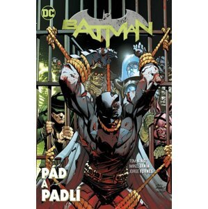 Batman 11: Pád a padlí - Tom King