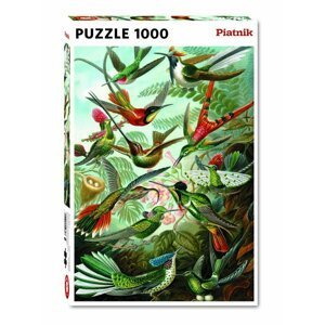 Piatnik 1000 d. Haeckel - Kolibris