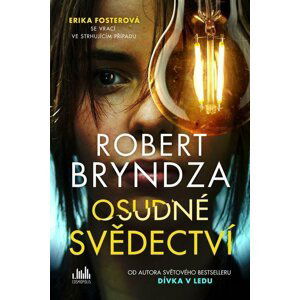 Osudné svědectví - Robert Bryndza