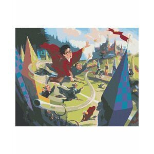 Malování podle čísel 40 x 50 cm Harry Potter - Famfrpál