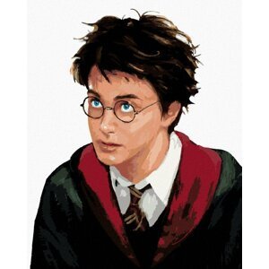 Malování podle čísel 40 x 50 cm Harry Potter - Harry portrét