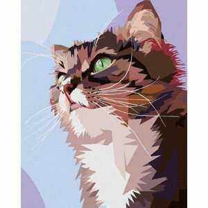 Malování podle čísel 40 x 50 cm - Zvědavá kočka