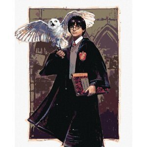 Malování podle čísel 40 x 50 cm Harry Potter - Harry a Hedvika v Bradavicích