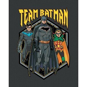 Malování podle čísel 40 x 50 cm Batman - Team