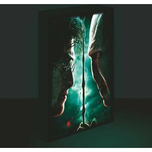 Harry Potter obraz LED svítící 30x40 cm - Harry vs Voldemort - EPEE