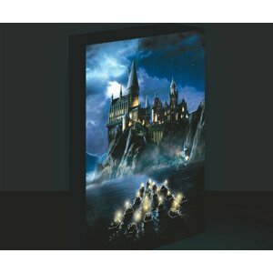 Harry Potter obraz LED svítící 30x40 cm - Bradavice - EPEE