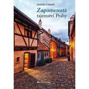 Zapomenutá tajemství Prahy - David Černý