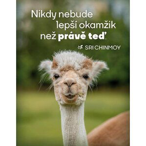 Magnet na lednici "Nikdy nebude lepší čas" - Sri Chinmoy