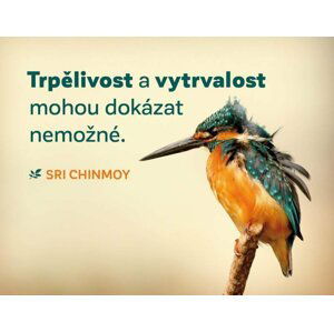 Magnet na lednici "Trpělivost a vytrvalost" - Sri Chinmoy