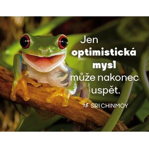 Magnet na lednici "Jen optimistická mysl může nakonec uspět" - Sri Chinmoy