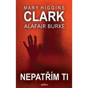 Nepatřím ti - Mary Higgins Clark