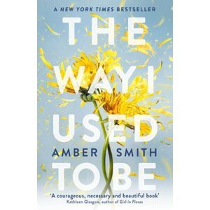 The Way I Used to Be - Amber Smith