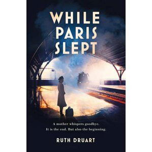 While Paris Slept - Ruth Druart