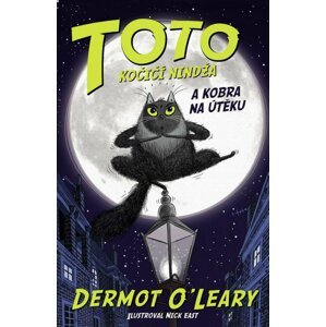 Toto – kočičí nindža a kobra na útěku - Dermot O’Leary