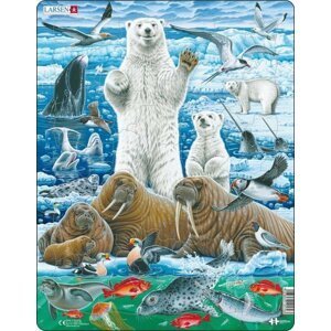 Puzzle Lední medvěd a mrož