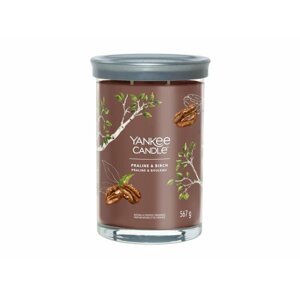 YANKEE CANDLE Praline & Birch svíčka 567g / 2 knoty (Signature tumbler velký )