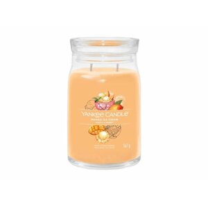 YANKEE CANDLE Mango Ice Cream svíčka 567g / 2 knoty (Signature velký)