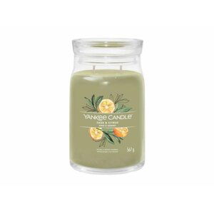 YANKEE CANDLE Sage & Citrus svíčka 567g / 2 knoty (Signature velký)