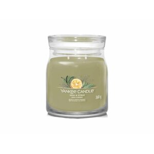 YANKEE CANDLE Sage & Citrus svíčka 368g / 2 knoty (Signature střední)