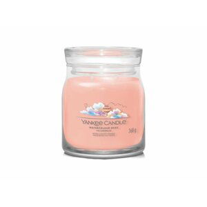 YANKEE CANDLE Watercolour Skies svíčka 368g / 2 knoty (Signature střední)