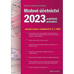 Mzdové účetnictví 2023 - praktický průvodce - Václav Vybíhal