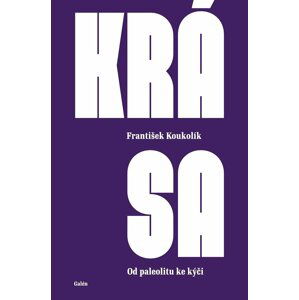 Krása - Od paleolitu ke kýči - František Koukolík