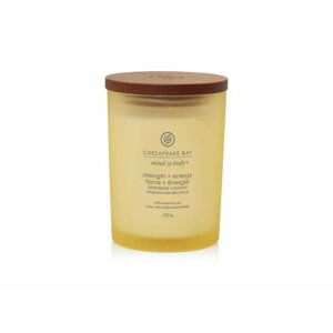 Vonná svíčka CHESAPEAKE BAY CANDLE Strength & Energy 250g