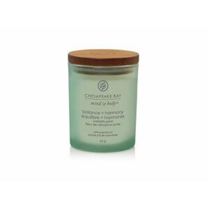 Vonná svíčka CHESAPEAKE BAY CANDLE Balance & Harmony 96g