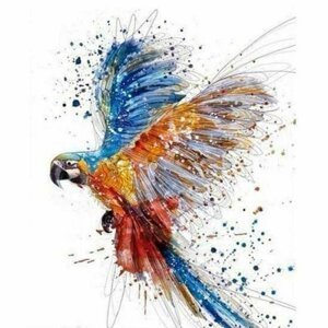 Malování podle čísel - Papoušek 40 x 50 cm (s rámem)