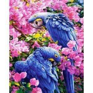Sada pro křížkové vyšívání  - Modří papoušci 32 x 40 cm