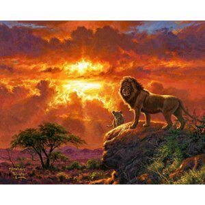 Malování podle čísel - Lev v západu slunce 40 x 50 cm (bez rámu)