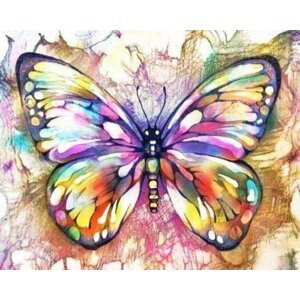 Sada pro křížkové vyšívání - Motýl a barvy 32 x 40 cm