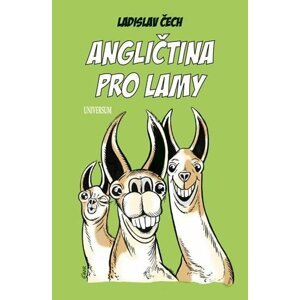 Angličtina pro lamy, 2.  vydání - Ladislav Čech