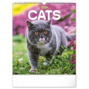Kalendář 2024 nástěnný: Kočky, 30 × 34 cm