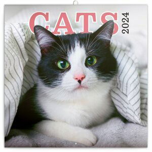 Poznámkový kalendář Kočky 2024 - nástěnný kalendář