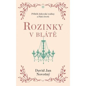 Rozinky v blátě - Dva tucty střepů - David Jan Novotný