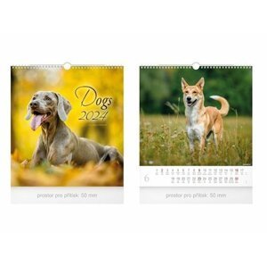 Malý Dogs 2024 - nástěnný kalendář