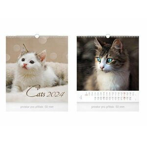 Malý Cats 2024 - nástěnný kalendář