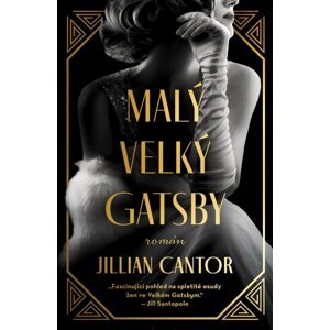 Malý velký Gatsby - Jillian Cantor