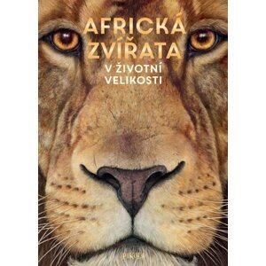 Africká zvířata: V životní velikosti - Holger Haag