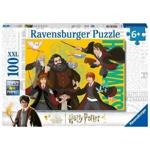 Ravensburger Puzzle - Harry Potter Mladý čaroděj 100 dílků