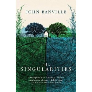 The Singularities - John Banville